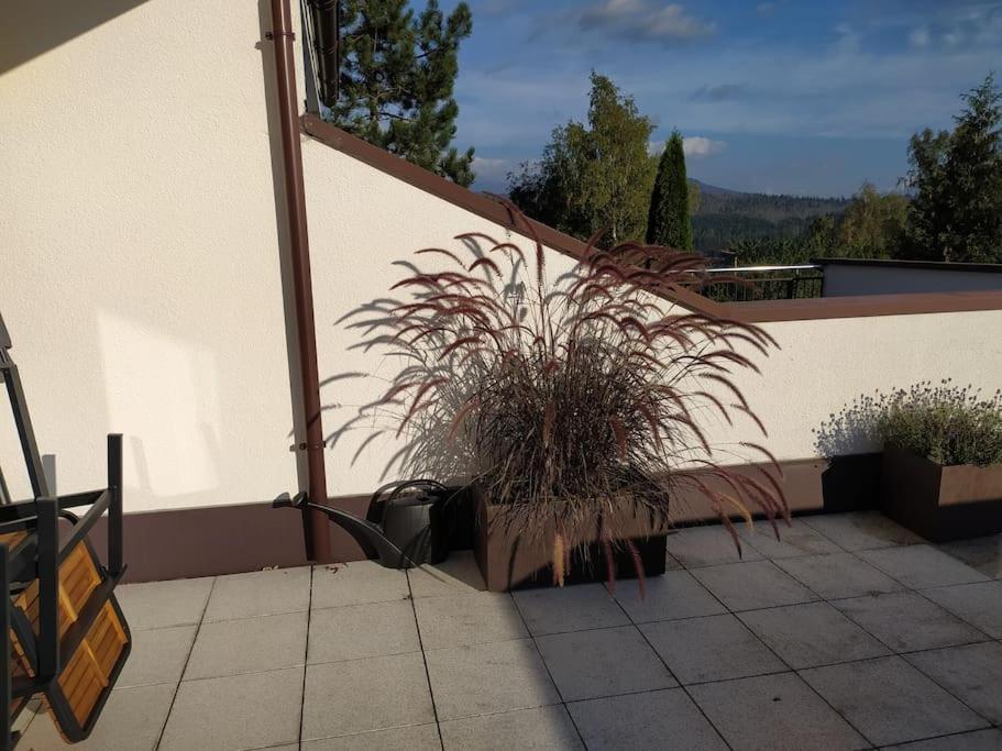 Apratman Julie - Bavorska Ruda Bayerisch Eisenstein Exterior foto